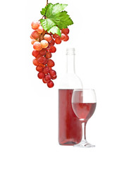 Wine bottle, goblet, and grapevine