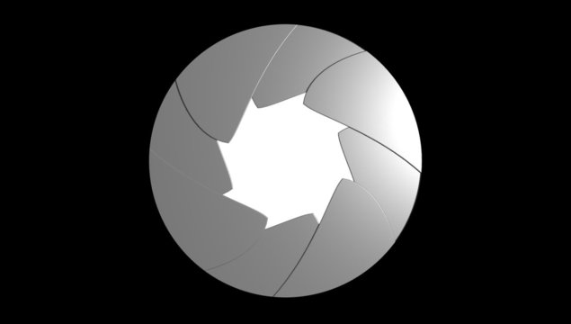 Camera diaphragm