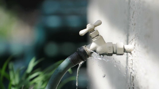 A gardening hose leaks water