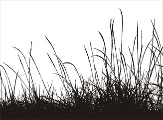 grass vector silhouette