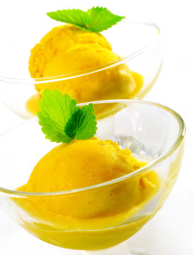 sorbets abricot