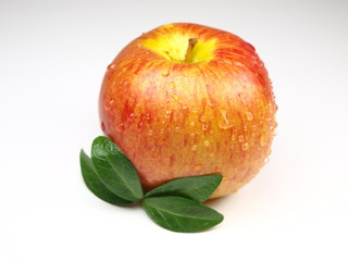 Red apple on white background