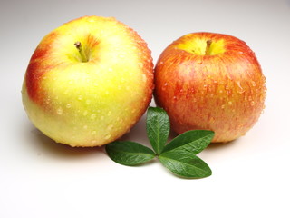 Red apples on white background