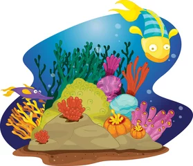 Foto op Plexiglas Onderwaterwereld Vis en wiet