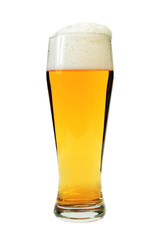 Glass of lager beer