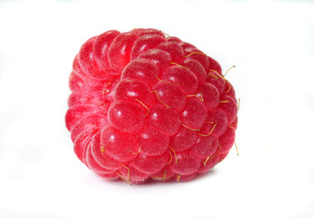 raspberry