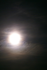 Mond