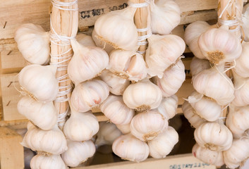 Garlic Bulbs