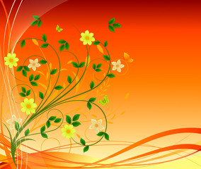 Floral abstract background  vector