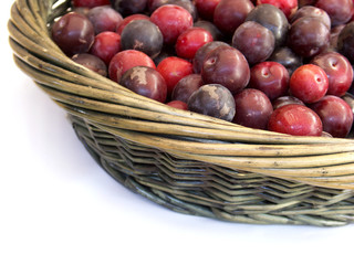 panier de prunes