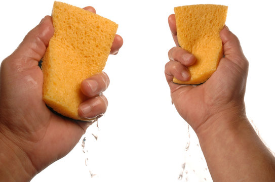 deux &eacute;ponges dans les mains