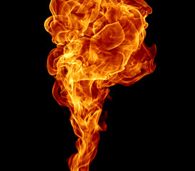 Fire isolated on a black background.