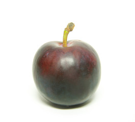 plum