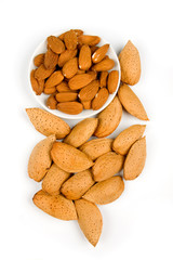 Almonds isolated on white