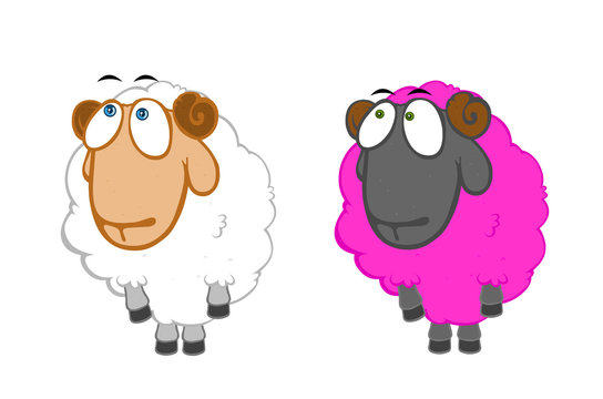 Two innocent sheep
