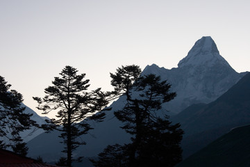 Trees silhouettes with Ama Dablam mountain at sunrise, Everest trail, Nepal