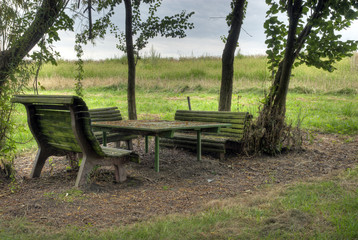 Peaceful Bench