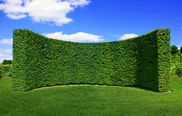 fond de verdure