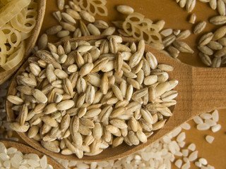 Wooden spoon with porridge. Shallow DOF.
