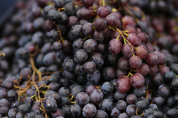 Seedless grapes