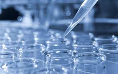 test tubes in a research lab
