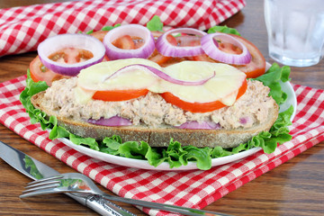 Tuna Melt on Italian Bread