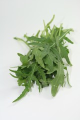 Rucola