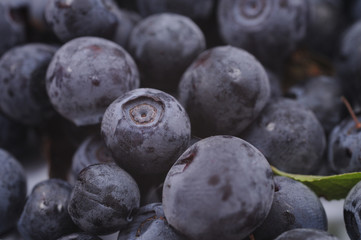 Bilberry