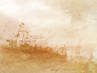 vintage background texture with flowers and grass