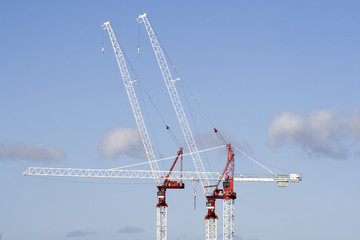 Skyline of Three Tower Cranes