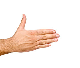 Hand ready for handshaking