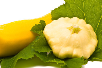 Squashes and green leaves on white background