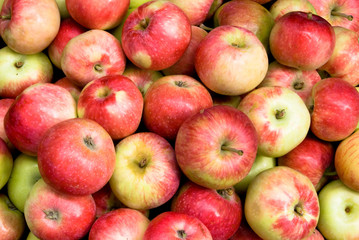 apples