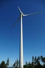 Fototapeta na wymiar éolienne