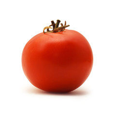 tomato isolated