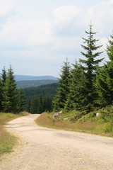 Jizera Mountains, Czech Republic