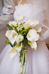 ウエディングイメージ