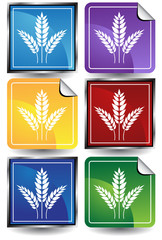 wheat icon color