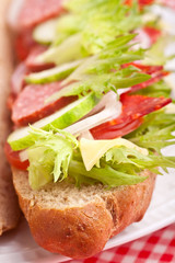 sandwich with meat,vegetables and cheese