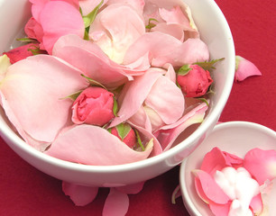 Rosen und Creme in weißen Porzellanschalen