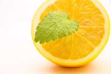 Orangen-Melisse-Close-Up