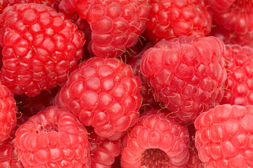 Red raspberries.