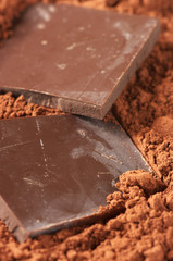 Chocolate and cocoa
