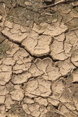 Trockene, rissige Erde