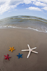 Holidays on a sundy beach among shells