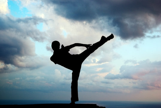 13,600+ Kung Fu Stock Photos, Pictures & Royalty-Free Images - iStock