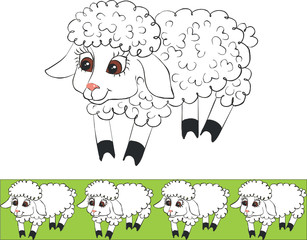 Lamb color 01