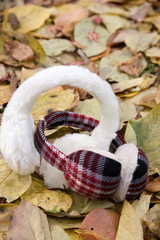 耳あてと落ち葉