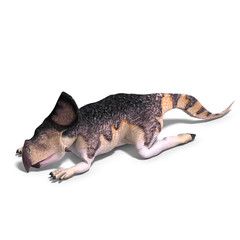 Dinosaur Protoceratops