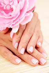 Fototapeta premium beautiful female hands